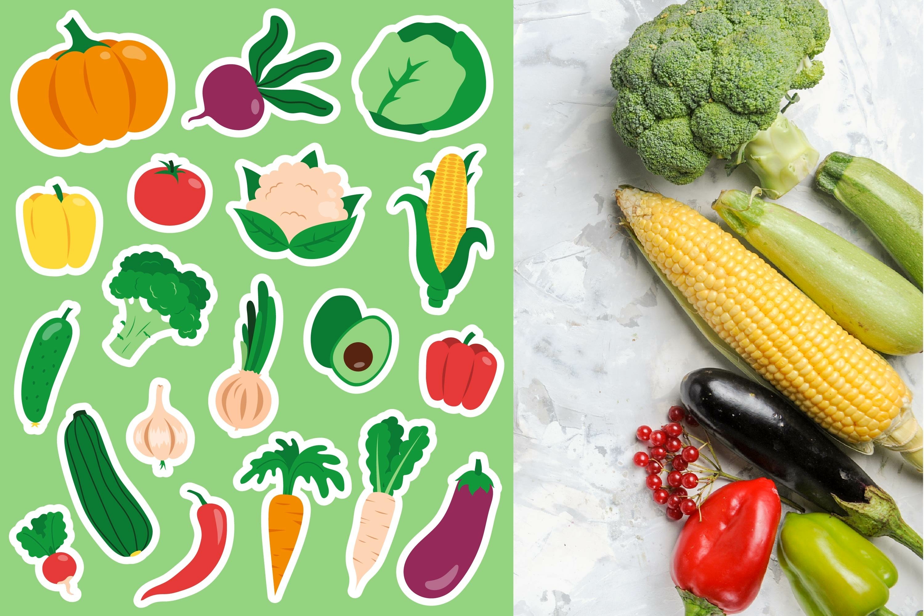 Vegetables stickers bundle | 19 png stickers design view 2