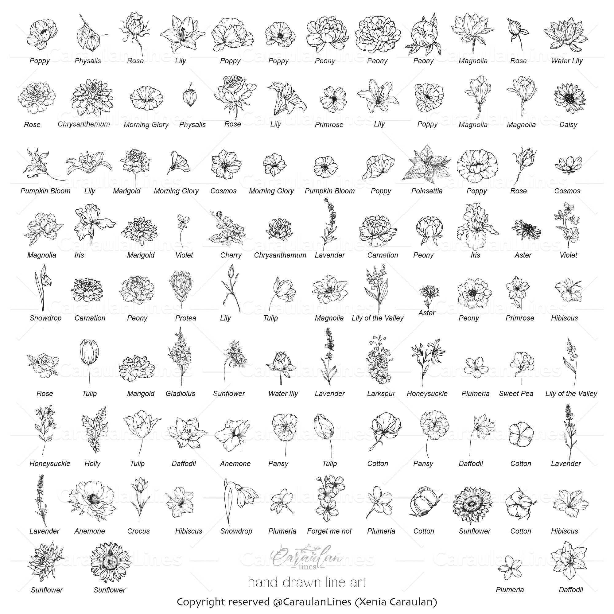 Flowers SVG, Floral Clipart SVG, Line Art Flowers Set view 2