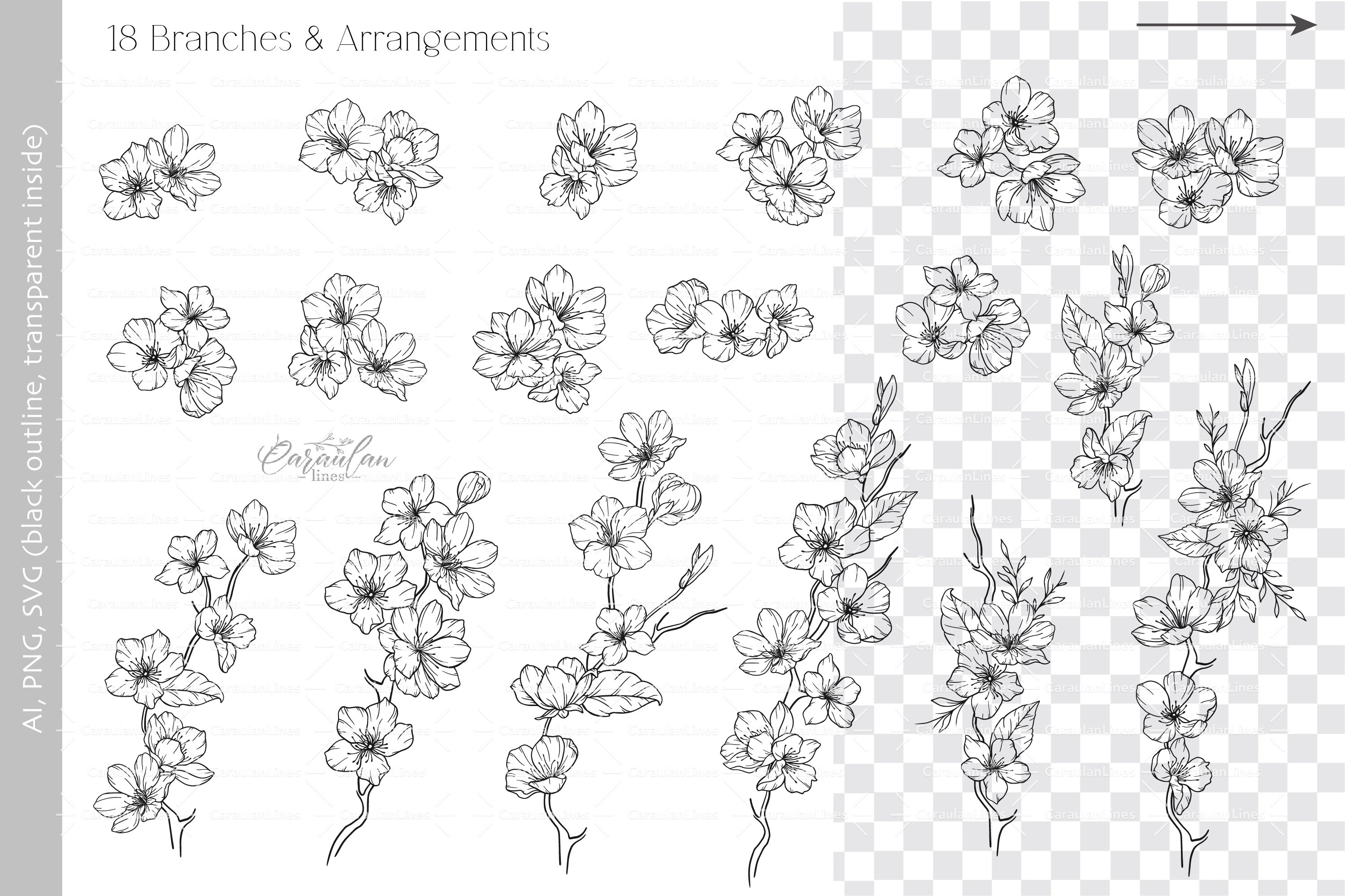 Cherry Blossom SVG, Floral Line Art Clipart view 3