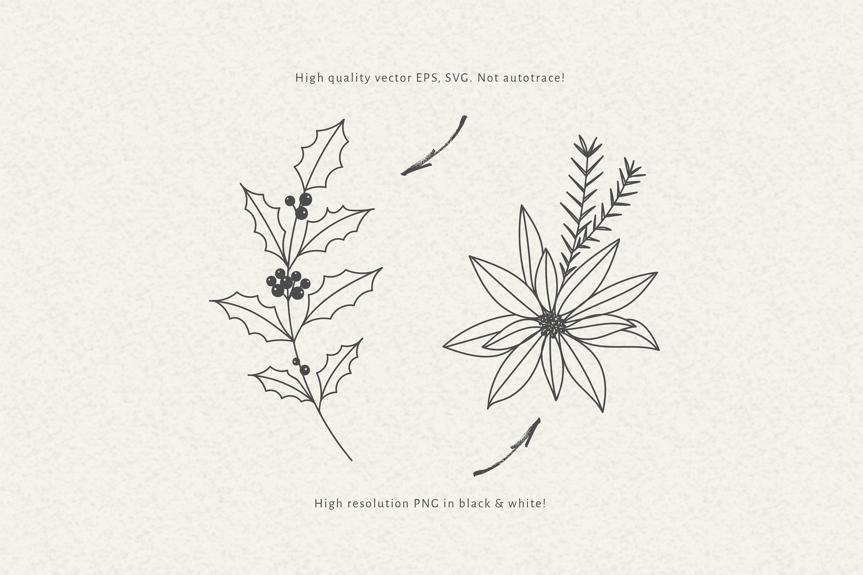 Christmas Floral Svg Bundle, Christmas Svg Clipart view 2