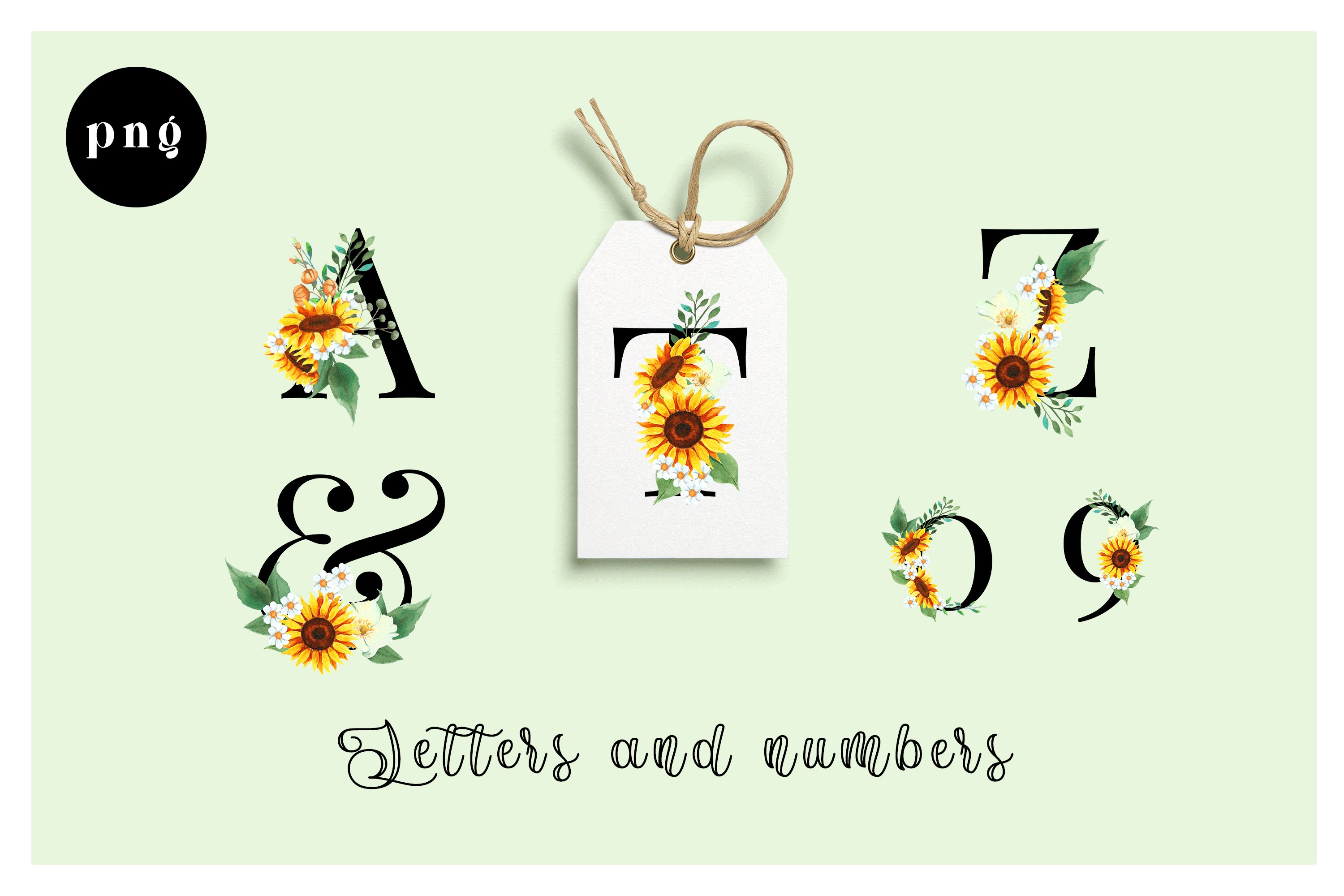 Sunflowers Alphabet and numbers