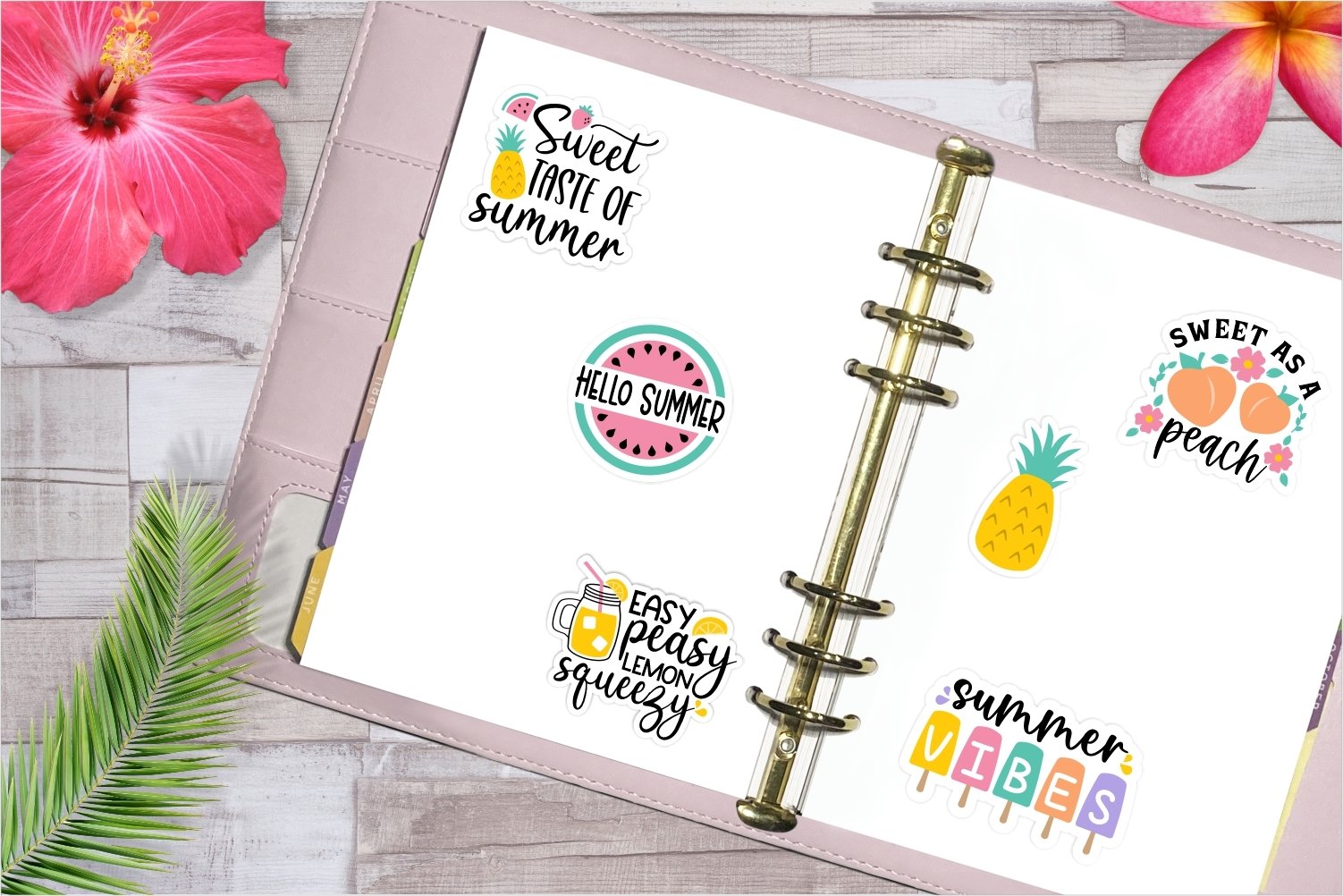 Summer Sweets sticker bundle | Tropical fruit stickers view 3