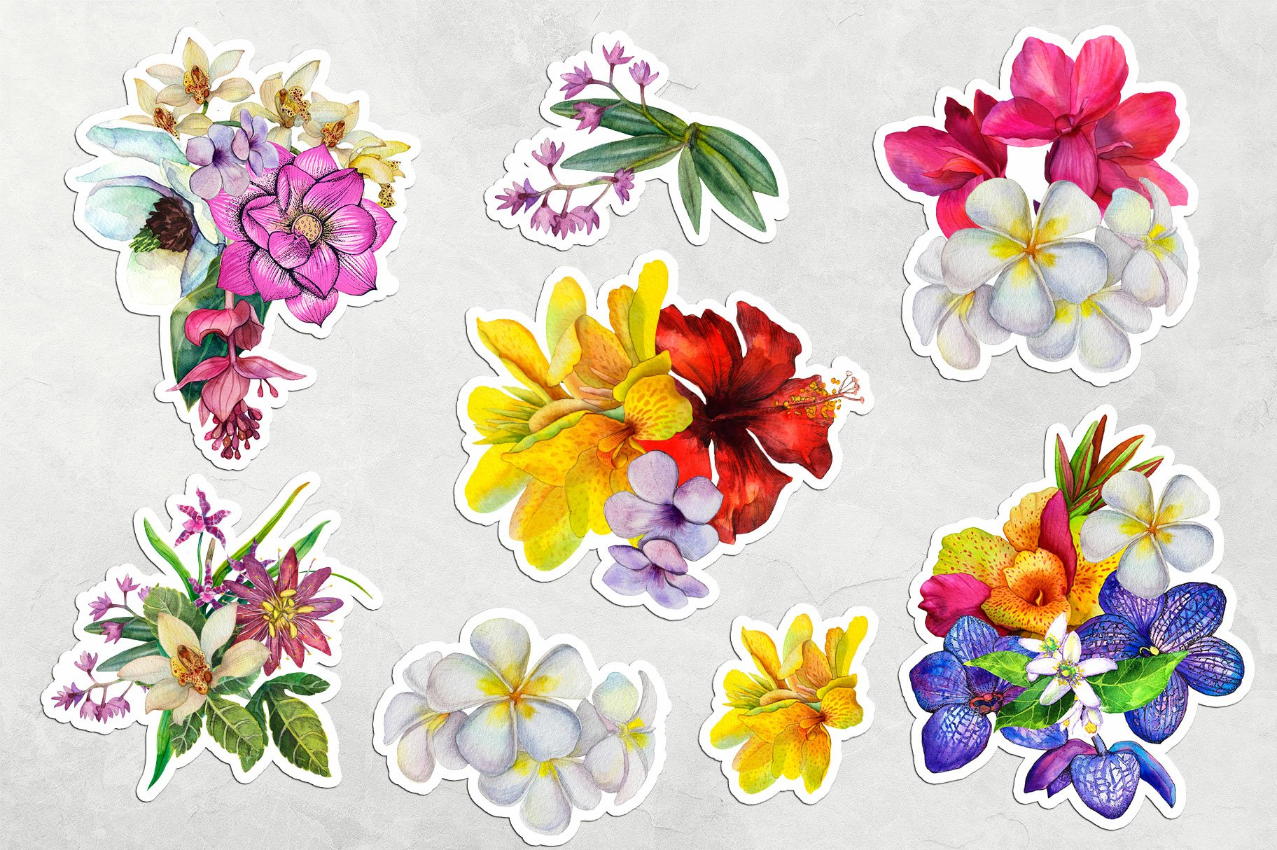 Tropical flowers. PNG Sticker Pack