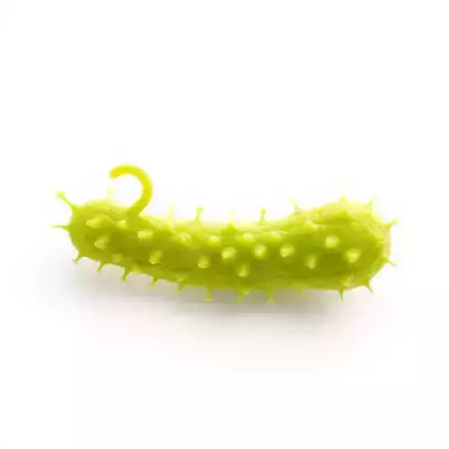 Spiky Green Cucumber model pack Low-poly 3D model view 2