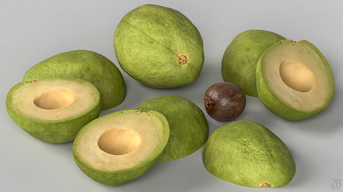Avocado 3D model view 3