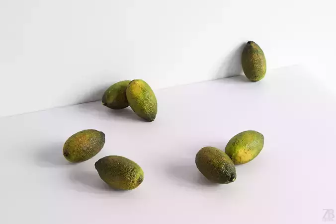 Lime  3D model