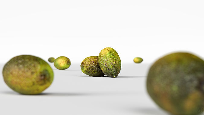 Lime  3D model view 2