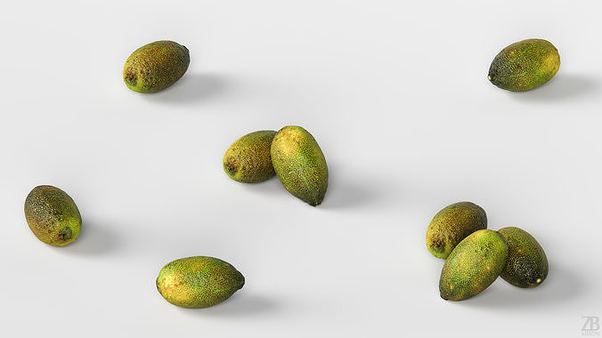 Lime  3D model view 3