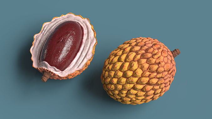 Lychee Fruit Yellow 3D model view 3