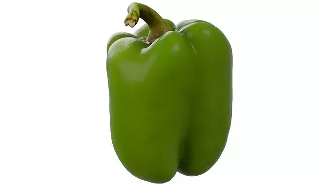 Green Bell Peeper 3D model view 2