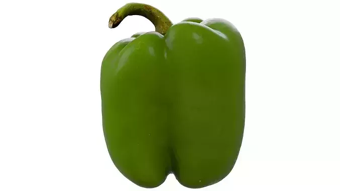 Green Bell Peeper 3D model view 3