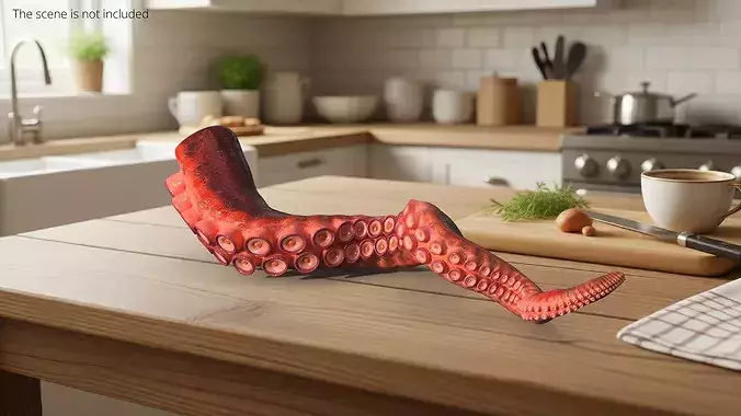 Natural Octopus Tentacle Marine Orange Rigged 3D model view 2