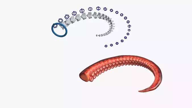 Natural Octopus Tentacle Marine Orange Rigged 3D model view 3