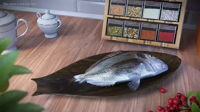 Gilthead Dorado On Wooden Plate 3D model view 2