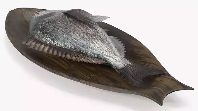 Gilthead Dorado On Wooden Plate 3D model view 3
