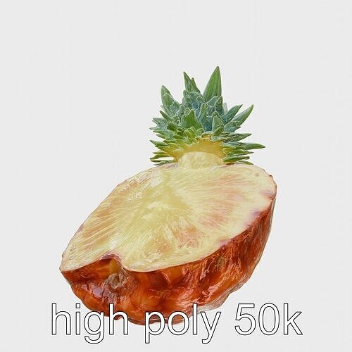 Exotic Pineapple Slice 3D model pack Low-poly 3D model view 3