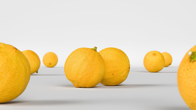 Bergamot 3D model view 2