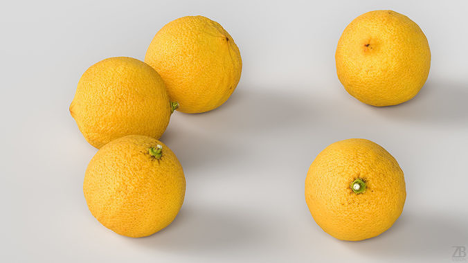 Bergamot 3D model view 3
