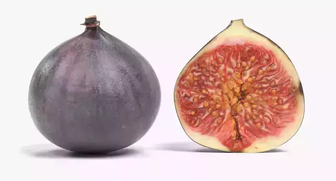 Figs - Whole and Half Fruit 3D model view 2