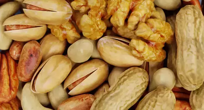 Nuts in Bowl - Food Display 3D model view 3