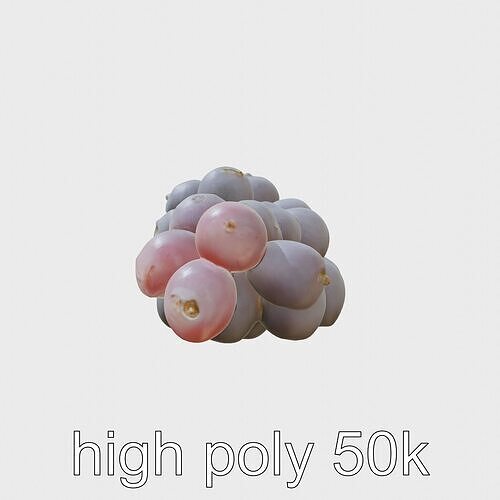 Realistic Purple Grape Cluster Model Low-poly 3D model view 3