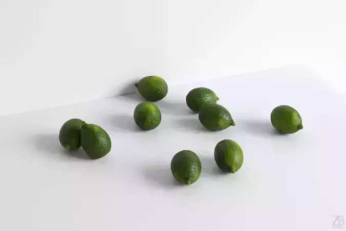 Lime  3D model