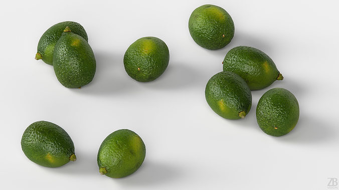 Lime  3D model view 3