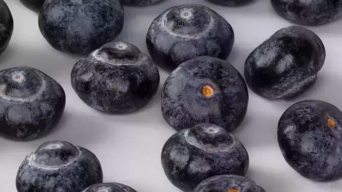 Blueberry 3D model view 3