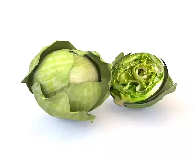 Vegetables 3d model collection Low-poly 3D model view 3