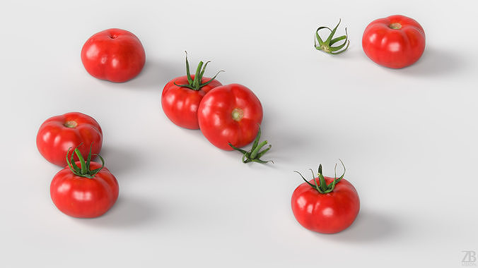 Tomato 3D model view 3
