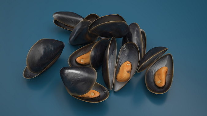 Pile of Boiled Mussels 3D model view 3