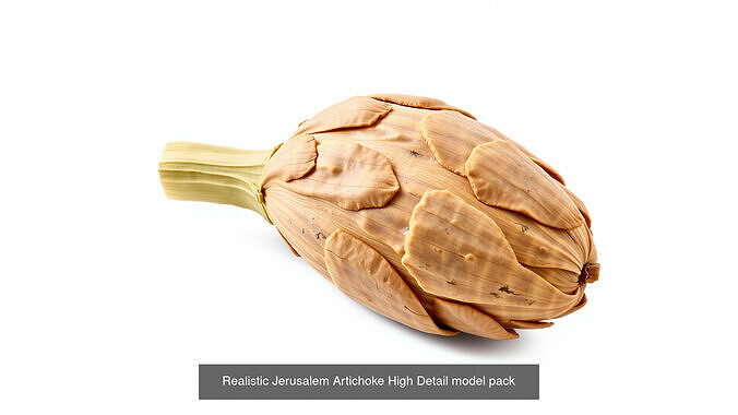 Realistic Vegetable Models Pack view 3